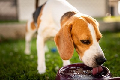 how to prevent heat stroke