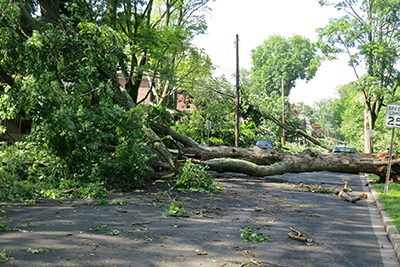 what to do during a tornado warning